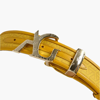 BELTS