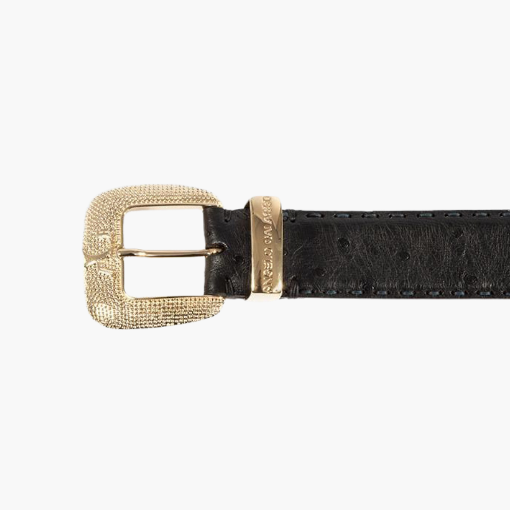 Black Ostrich Belt - 17SCCOL05F